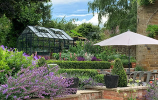 How should you prepare your garden for hot and dry weather?