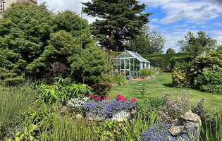 What Mistakes Should You Avoid in Your Garden