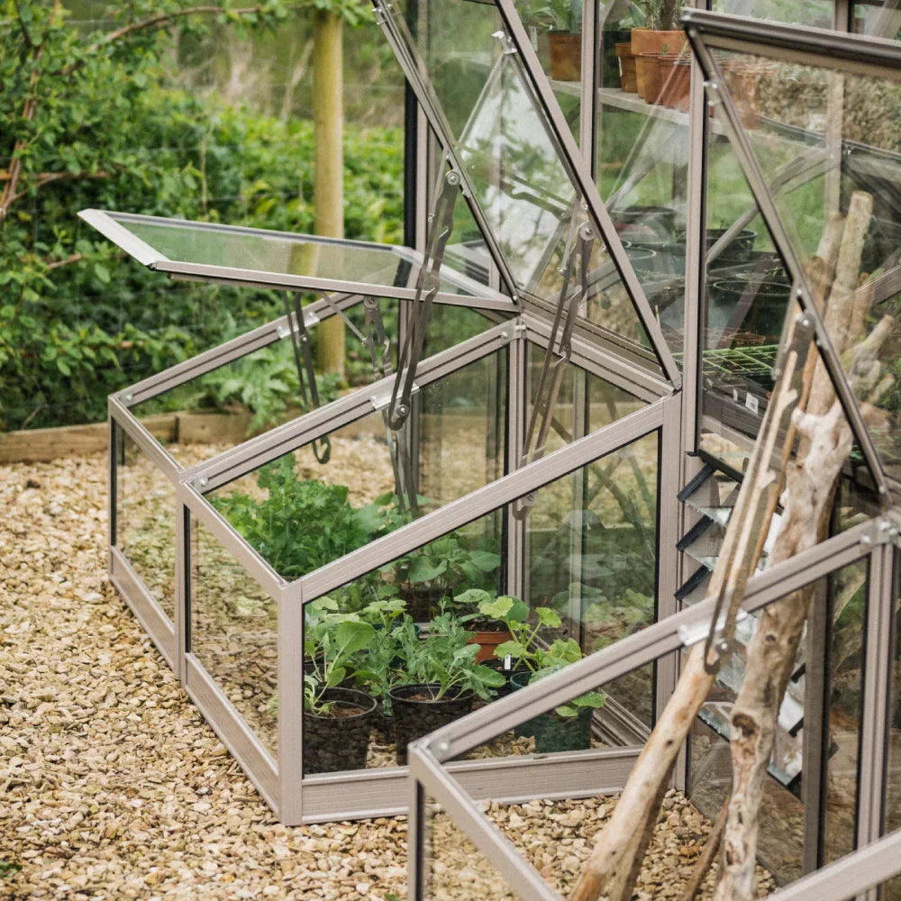 Cold Frame vs Greenhouse: What are the differences?