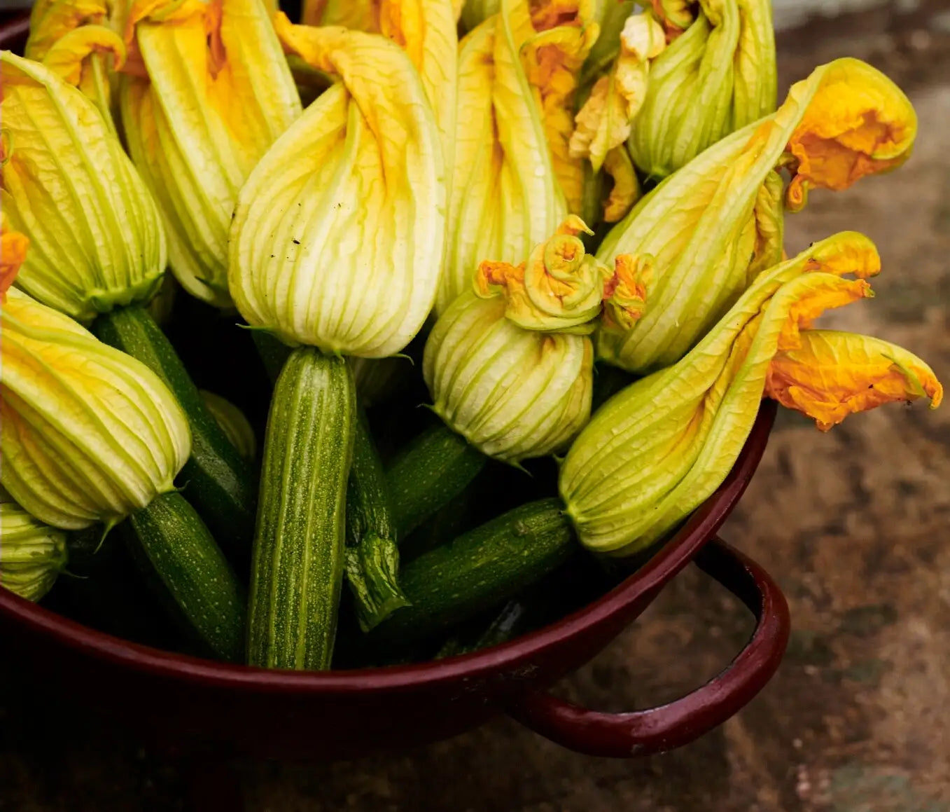 Courgettes in a bowl