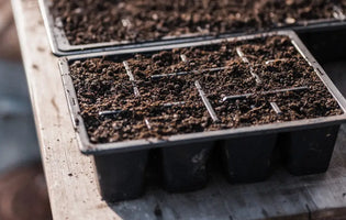 Ellen's January 2024 Blog