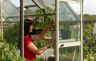 Ellen in her Rhino Greenhouse