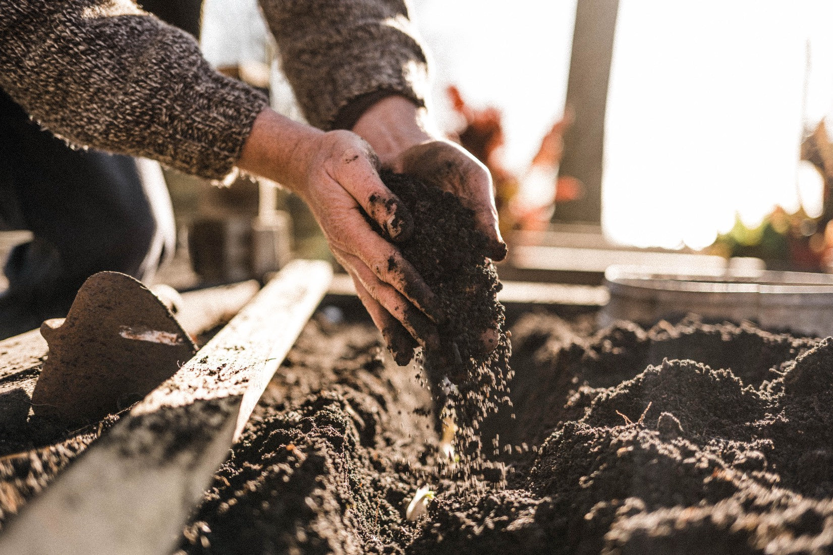 What to grow in your greenhouse in February