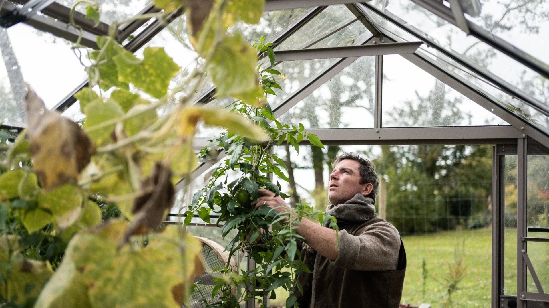 How to make the most of the remainder of the year in your garden - critical jobs to do