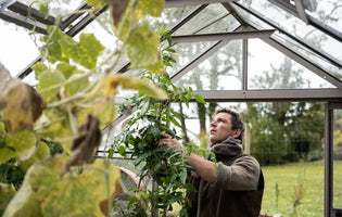 How to make the most of the remainder of the year in your garden - critical jobs to do