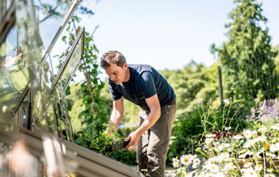 How to create a hay fever allergy friendly garden