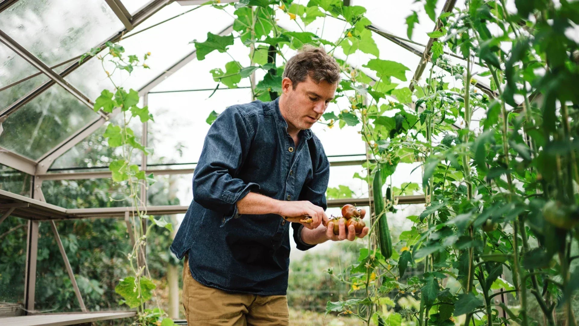 Gill's Summer 2025 Journal & A Delicious Chutney Recipe