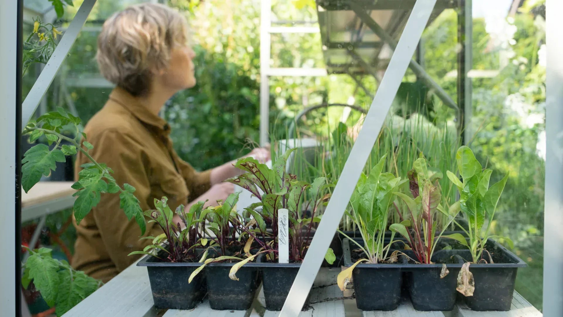 How To Look After Your Garden Whilst on Holiday