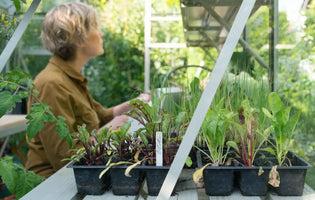 How To Look After Your Garden Whilst on Holiday