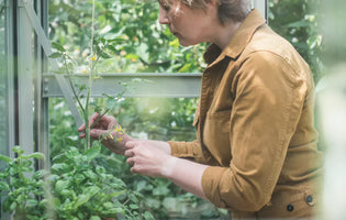 How can you make your garden grow on a budget?