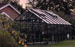 Ellen's December 2023 Blog