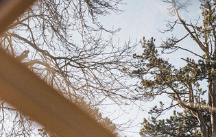 March Blog - Ellen Mary