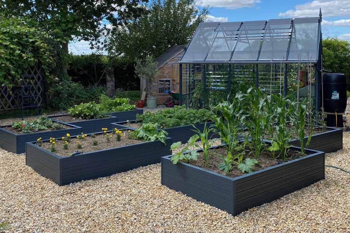 Raised Garden Beds - Our Ultimate Guide