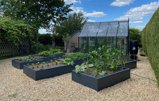 Raised Beds