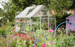 Greenhouse Gardening in Summer – Do’s and Don’ts
