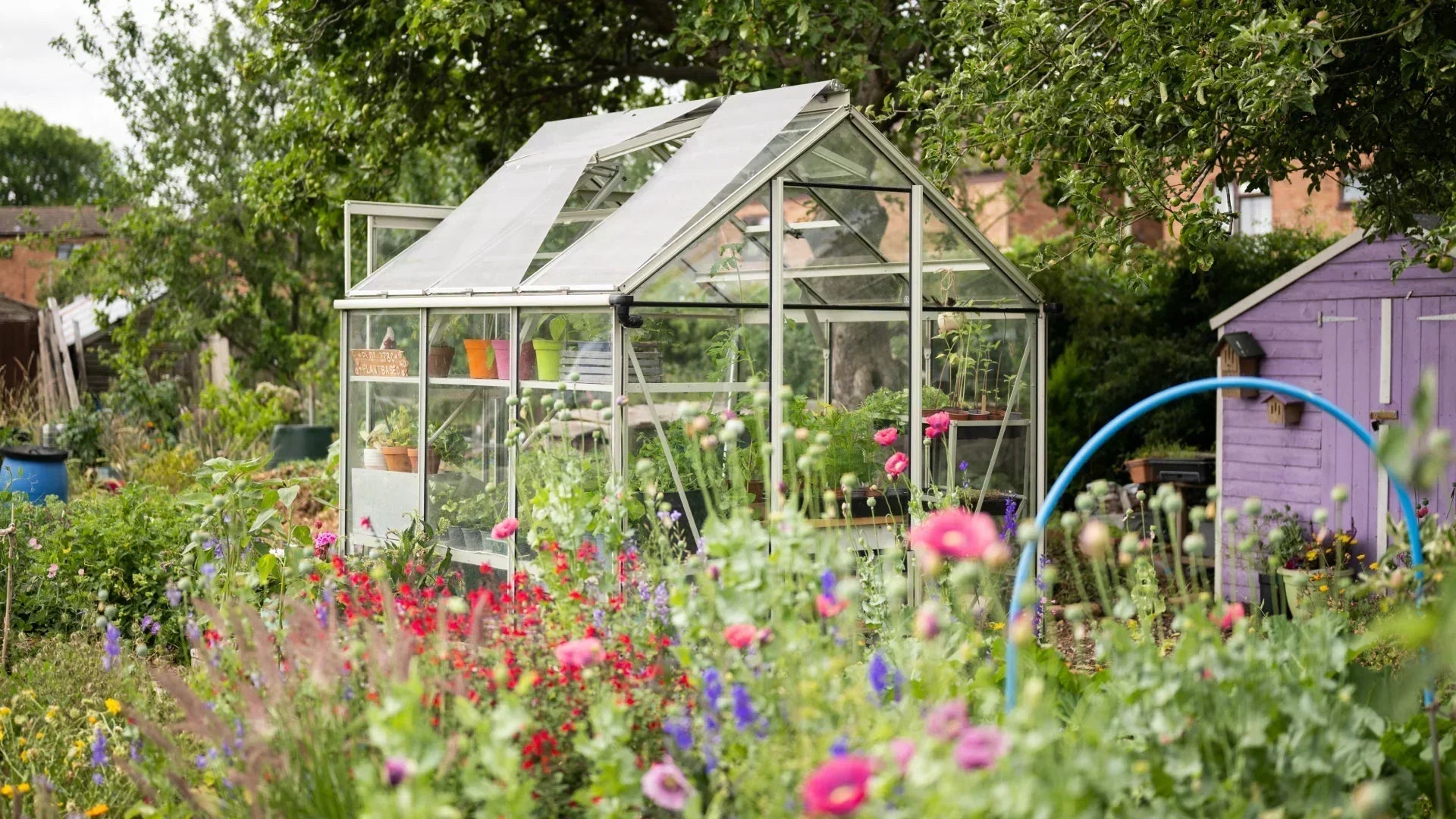 Greenhouse Gardening in Summer – Do’s and Don’ts
