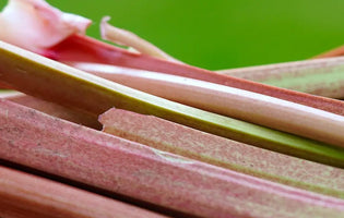 Rhubarb stalks