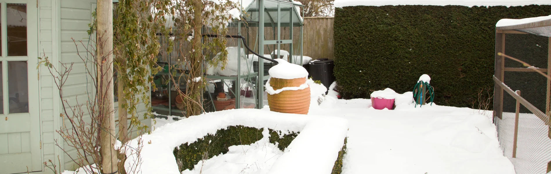 Snowy garden setting