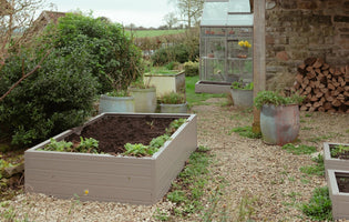 How to Prepare Your Raised Beds for Winter