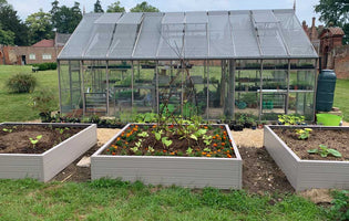 Our Essential Guide: Raised Beds