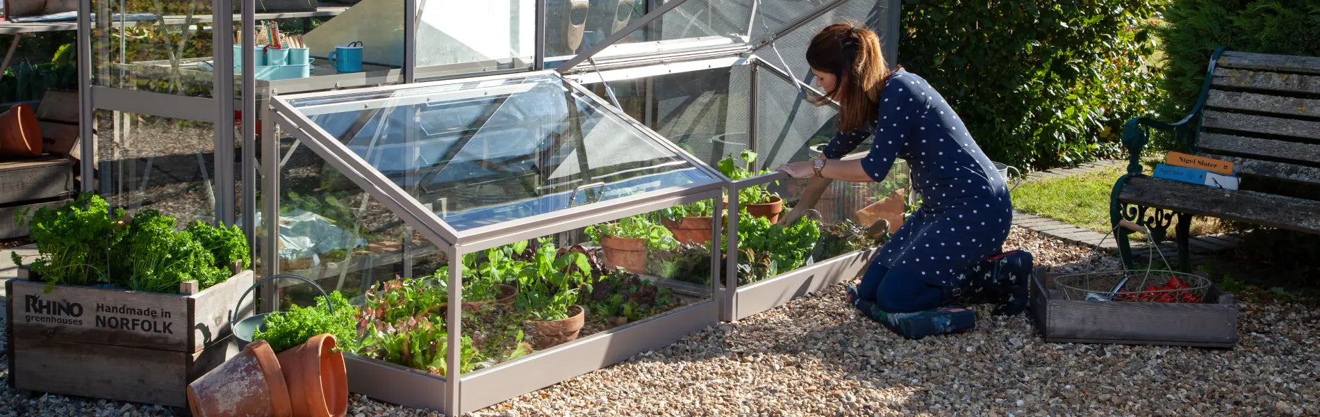 How to transition your plants from cold frame to garden