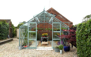 Premium 12ft wide Rhino greenhouse