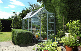 Rhino Premium Greenhouse with roof blinds and finials