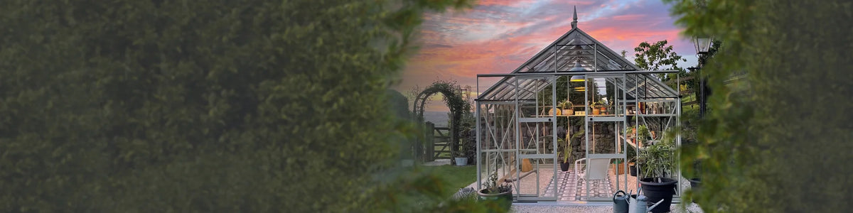 A glass Rhino Greenhouse stands in a garden at sunset, surrounded by plants and trees. Inside, gardening tools and furniture are visible, creating a cozy atmosphere amidst lush vegetation.