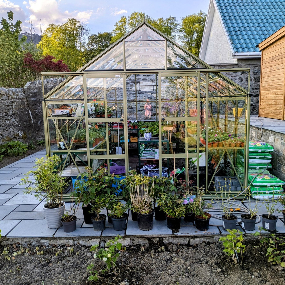 10x14 Silver Sage Rhino greehouse