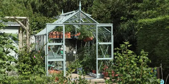 Rhino Greenhouse with glass walls and triangular roof shelters plants and pots, surrounded by lush greenery, bushes, and trees in a garden setting.