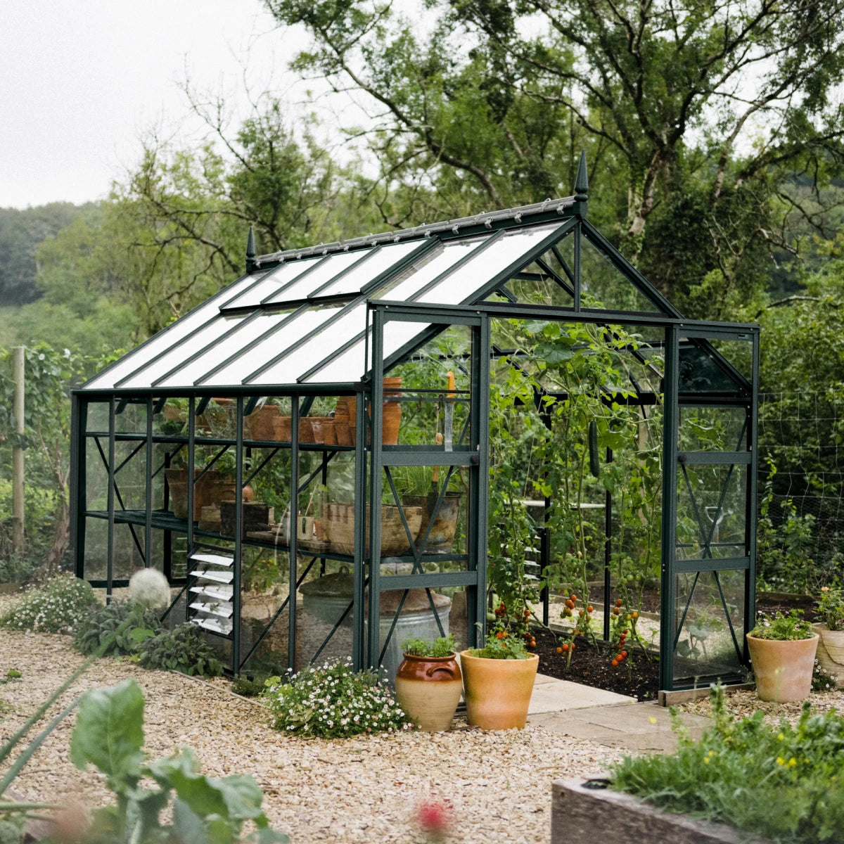 tobacco greenhouse for sale Hot Rolling Benches Ebb and Flood Tray Seedbed from China Factory With the perfect blend of forced and passive ventilation Decloet Tobacco Greenhouse Structure |