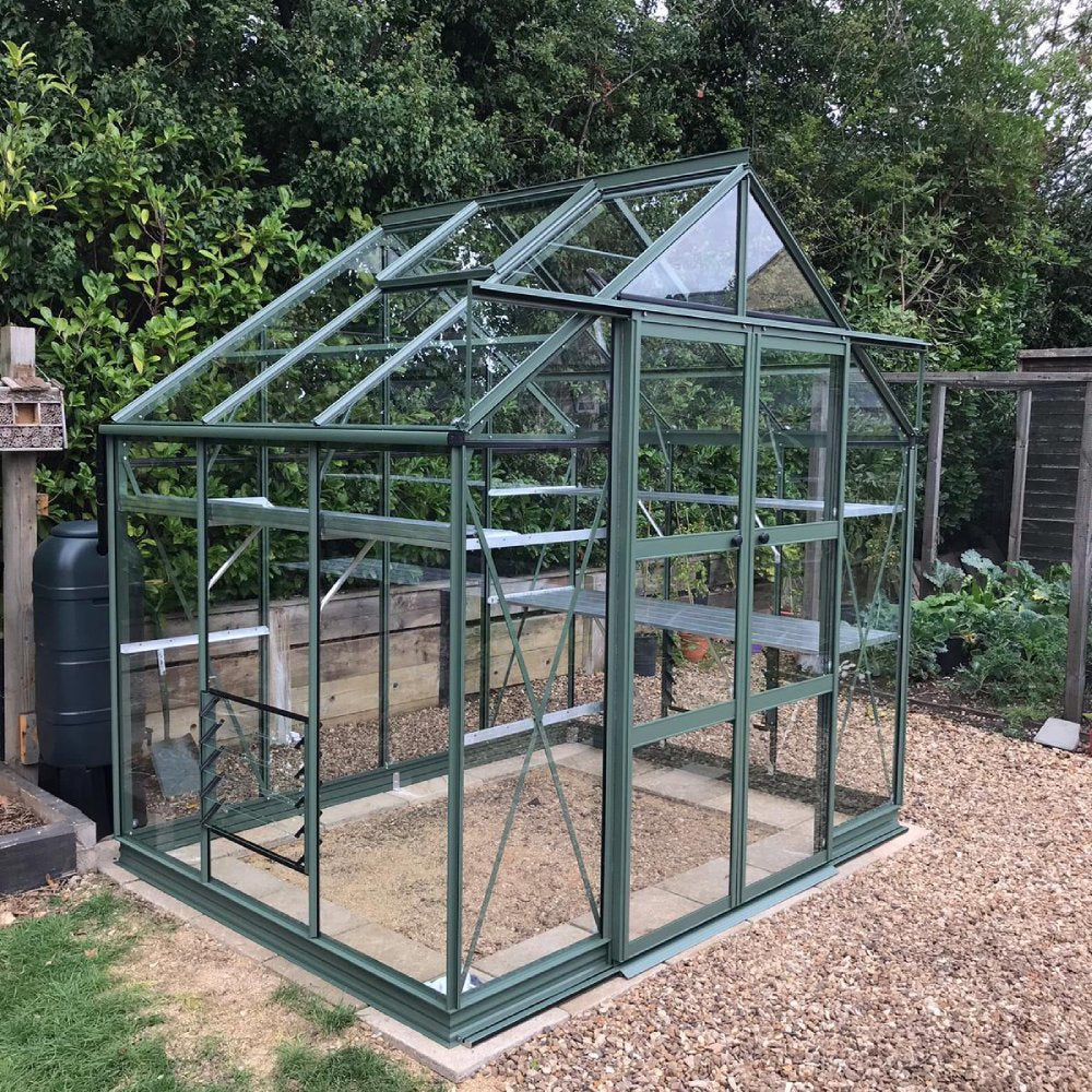 A green, glass Rhino Greenhouse stands on a gravel surface with open shelves inside. It's surrounded by leafy bushes and wooden fencing in a garden setting.