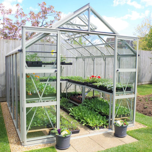A glass Rhino Greenhouse with open doors houses various trays of green plants on shelves. It is set in a backyard with a wooden fence and surrounded by lush greenery.