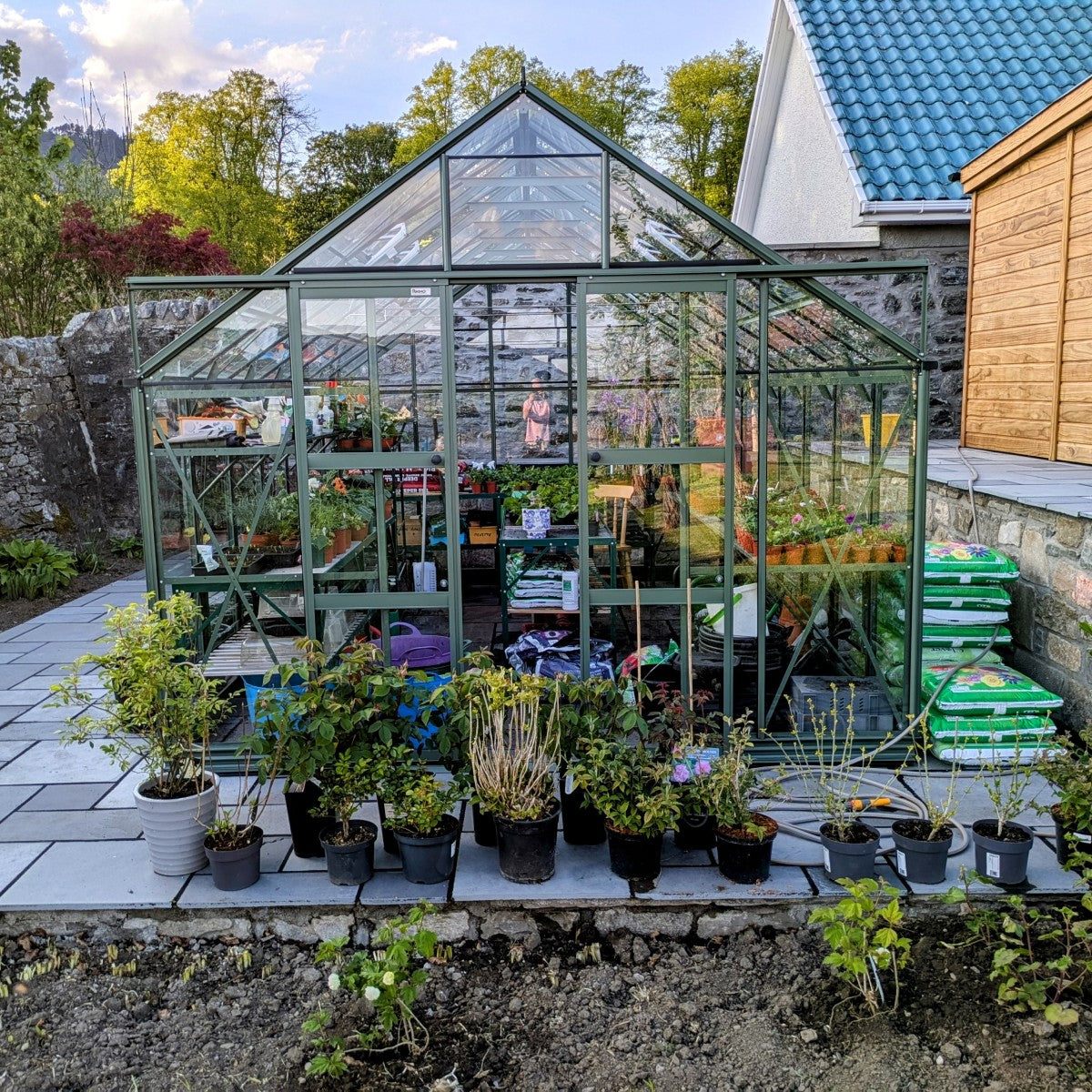 Rhino Greenhouse filled with plants on shelves, surrounded by potted plants outside. Situated on a paved patio next to a stone wall, with trees and a building nearby.