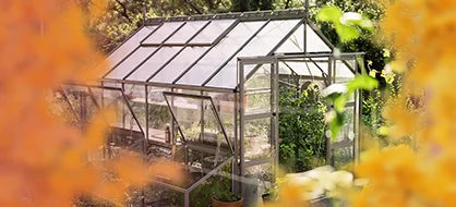 A glass-panel Rhino Greenhouse stands amidst lush greenery and autumn foliage, with sunlight filtering through. It houses various plants, indicating a thriving garden environment.