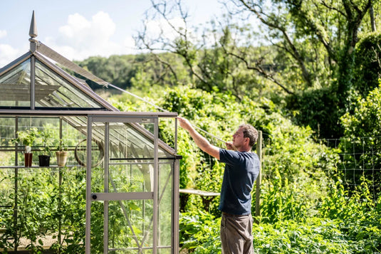 A man adjusts a window on a glass Rhino Greenhouse, surrounded by lush greenery. Three potted plants sit inside. The word Rhino appears on the door frame.