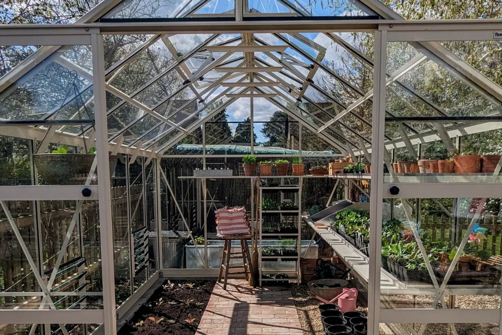 A Rhino Greenhouse with a glass roof and frame houses various potted plants on shelves. A stool with striped fabric sits centrally on a brick floor, surrounded by gardening tools and accessories.