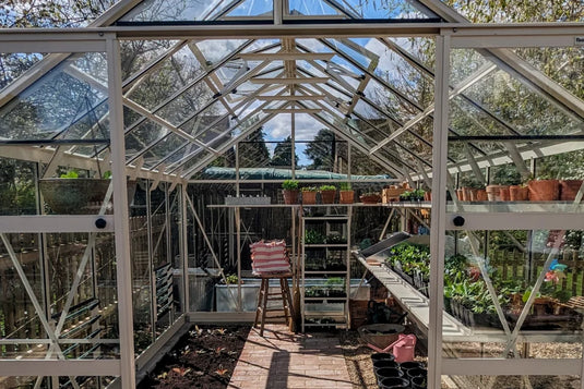 A Rhino Greenhouse with a glass roof and frame houses various potted plants on shelves. A stool with striped fabric sits centrally on a brick floor, surrounded by gardening tools and accessories.