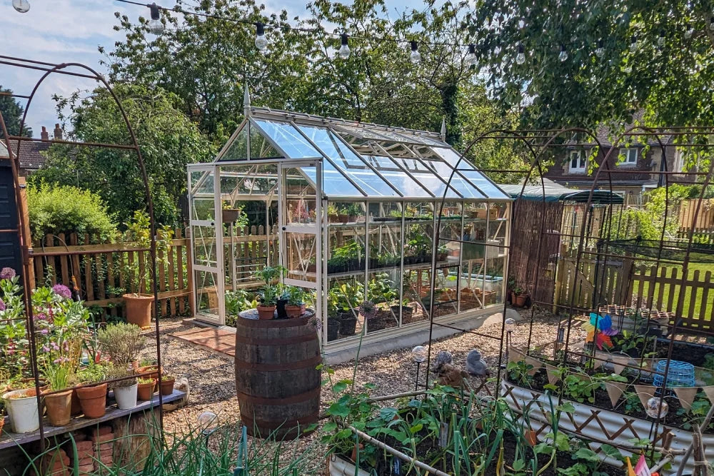 A glass Rhino Greenhouse houses various plants and gardening tools, situated in a well-organized backyard with potted plants, wooden fencing, and surrounding greenery under string lights.