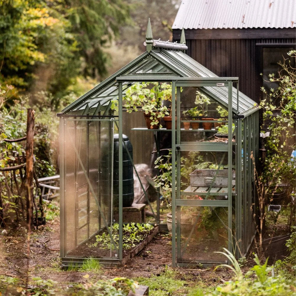 Rhino Greenhouse with glass panes houses potted plants and seedlings on shelves, situated in a lush, garden setting beside a black corrugated structure. Text: Rhino.