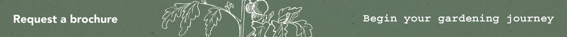 Mega Menu Footer Image