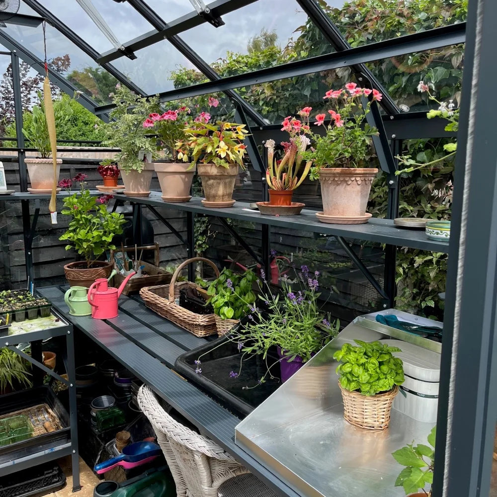 Potted plants rest on metal shelves inside a Rhino Greenhouse. Gardening tools, baskets, and watering cans fill the space. The glass and metal structure is surrounded by leafy greenery.