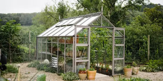 A glass-walled Rhino Greenhouse stands amidst a garden, filled with plants and surrounded by potted plants on a gravel path, with a lush, tree-lined backdrop.