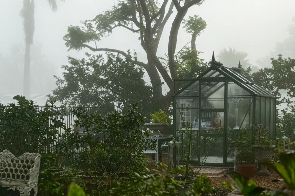 A small Rhino Greenhouse stands in a misty garden, surrounded by lush plants and trees. Inside, gardening tools and plants are visible through the glass panes.