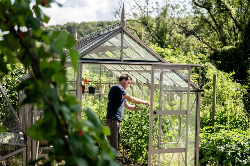 A person tends plants inside a glass-paneled Rhino Greenhouse, surrounded by lush greenery. The Rhino Greenhouse has an open door, with a garden and trees visible in the background.