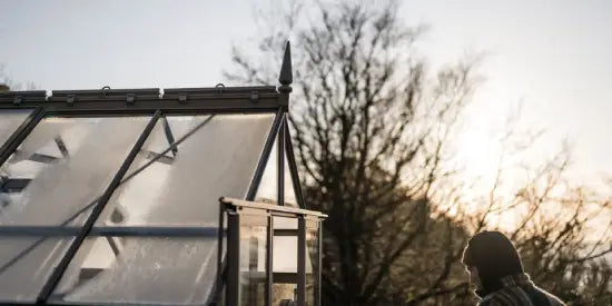 A Rhino Greenhouse features partially frosted glass panels, with a person standing nearby, silhouetted by the setting sun. Leafless trees are visible in the background.
