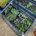 Rhino Cold Frame - 2.5ft x 3ft
