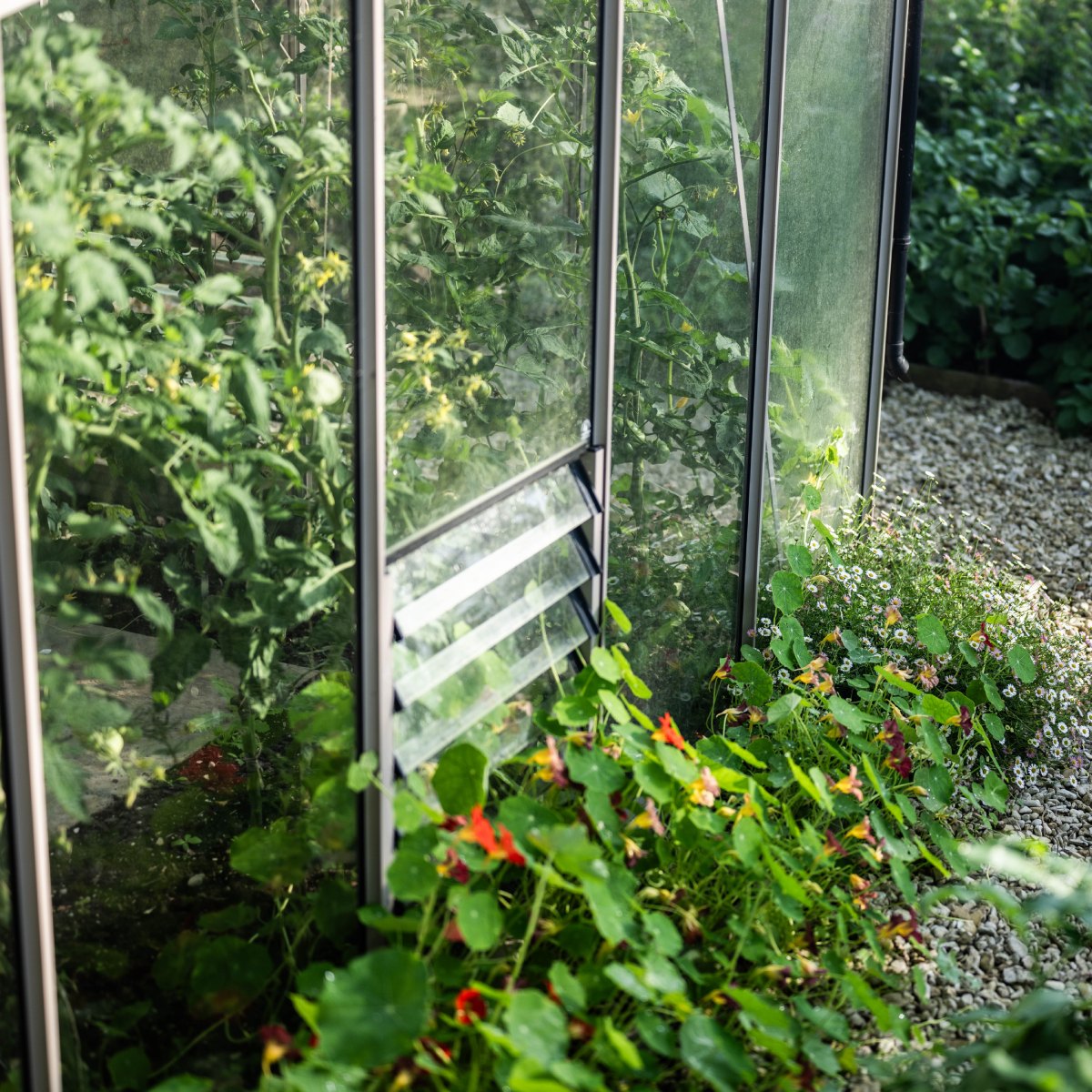 5 blade side louvres on a rhino greenhouse