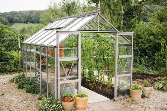 A glass-panelled Rhino Greenhouse with growing plants inside is surrounded by a gravel path and potted flowers, set in a lush, green garden landscape.