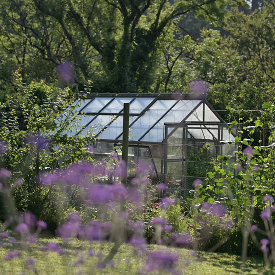 A Rhino Greenhouse sits among lush greenery with its glass panels reflecting sunlight. Purple flowers blur in the foreground, while tall trees create a dense backdrop.